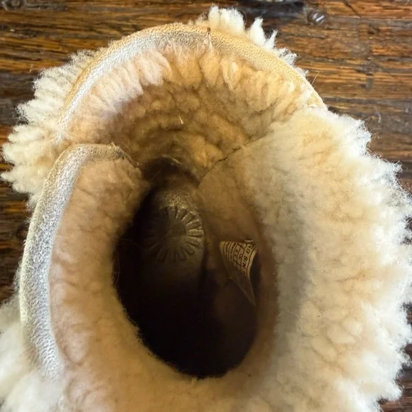 Ugg Cozy Shearling-Lined Ankle Brown Boots Lace Up Caspia Cozy - Picture 9 of 16